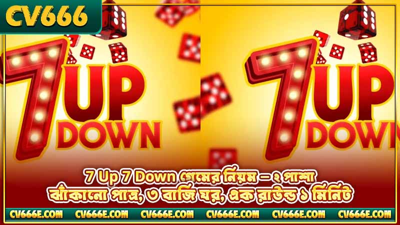 7 Up 7 Down নিয়ম — বাজি, পেআউট ও কৌশল 3 7 Up 7 Down গেমের নিয়ম — ২ পাশা, ঝাঁকানো পাত্র, ৩ বাজি ঘর, এক রাউন্ড ১ মিনিট